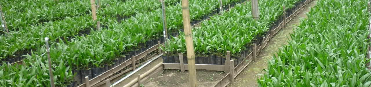 image01